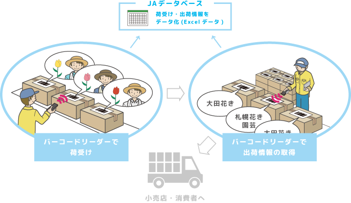 荷受け・出荷情報の取得/データベースとの連携イメージ